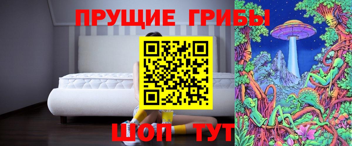 Псилоцибиновые грибы Psilocybe Старый Оскол
